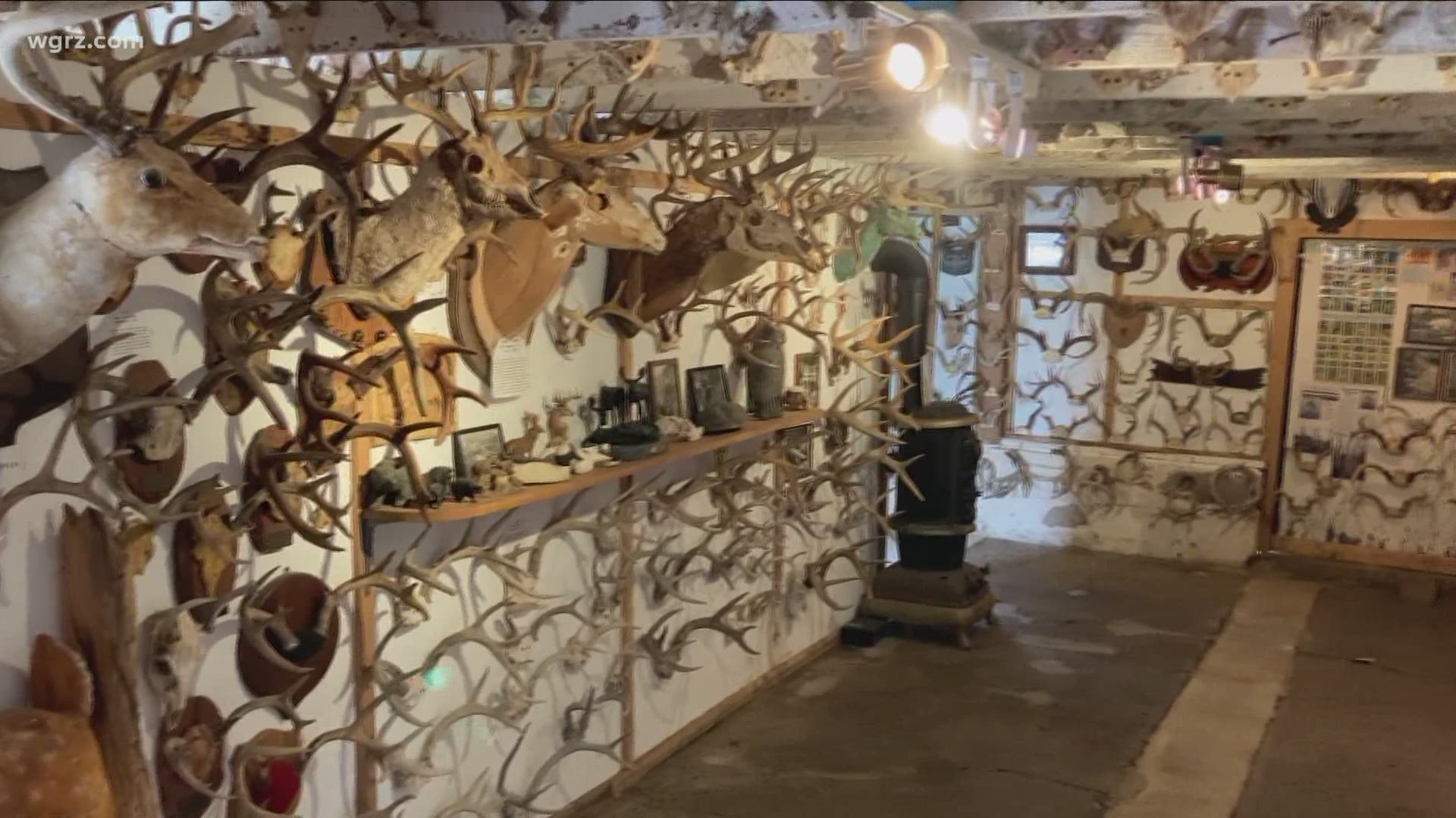 The Antler Shed Whitetail Museum is home to one of the largest collections of Whitetail antlers.