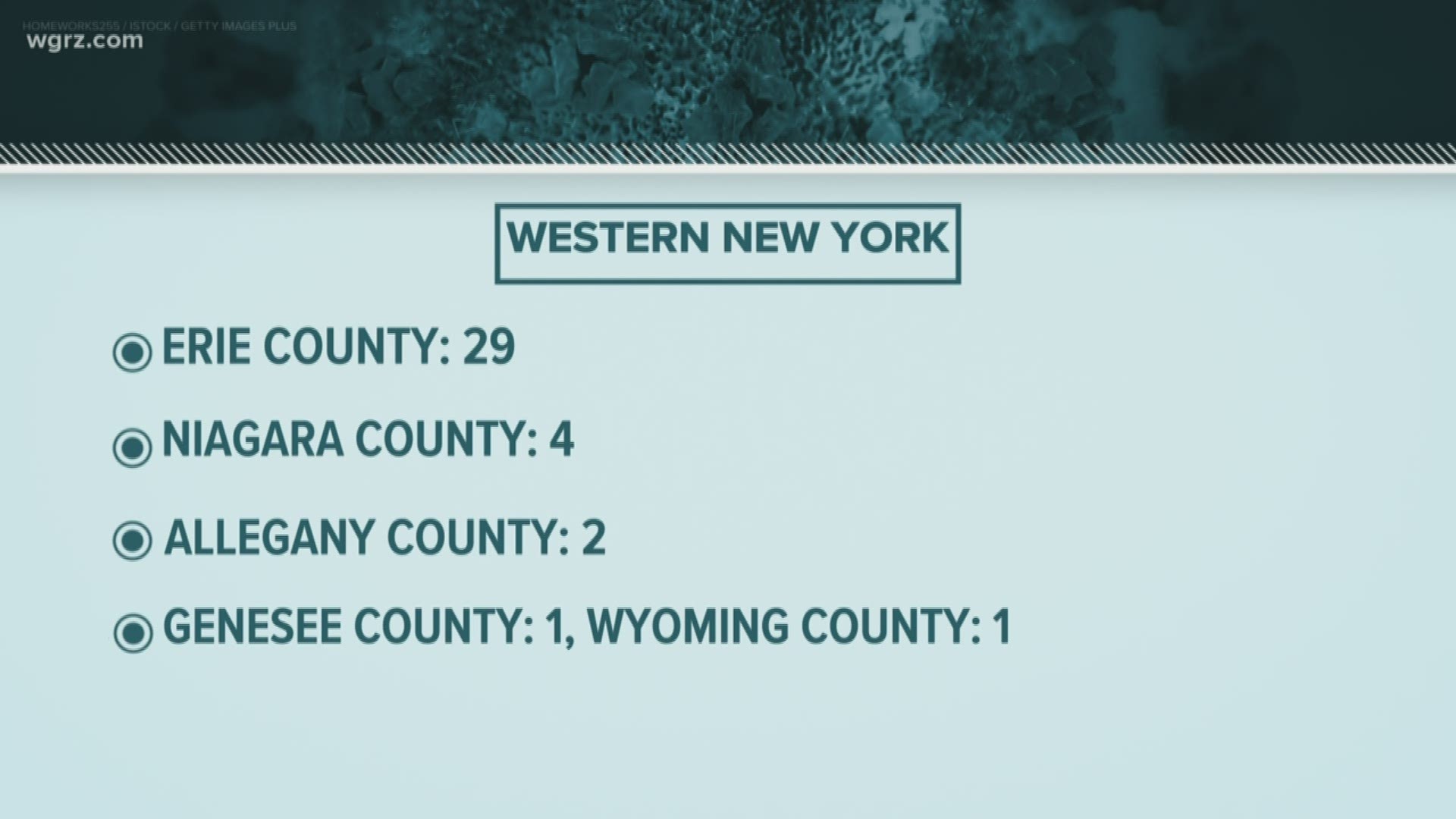 Latest Covid 19 case numbers in NY state