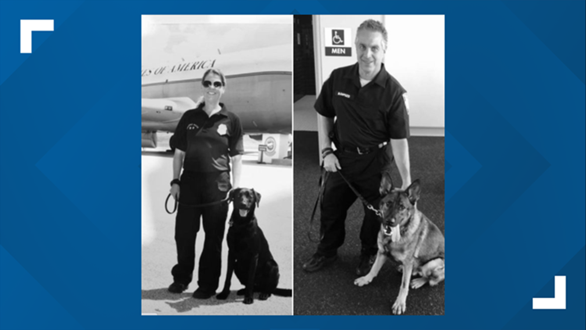 K9 Harvey and K0 Dok will assist with explosion detection during their stay in Tampa.