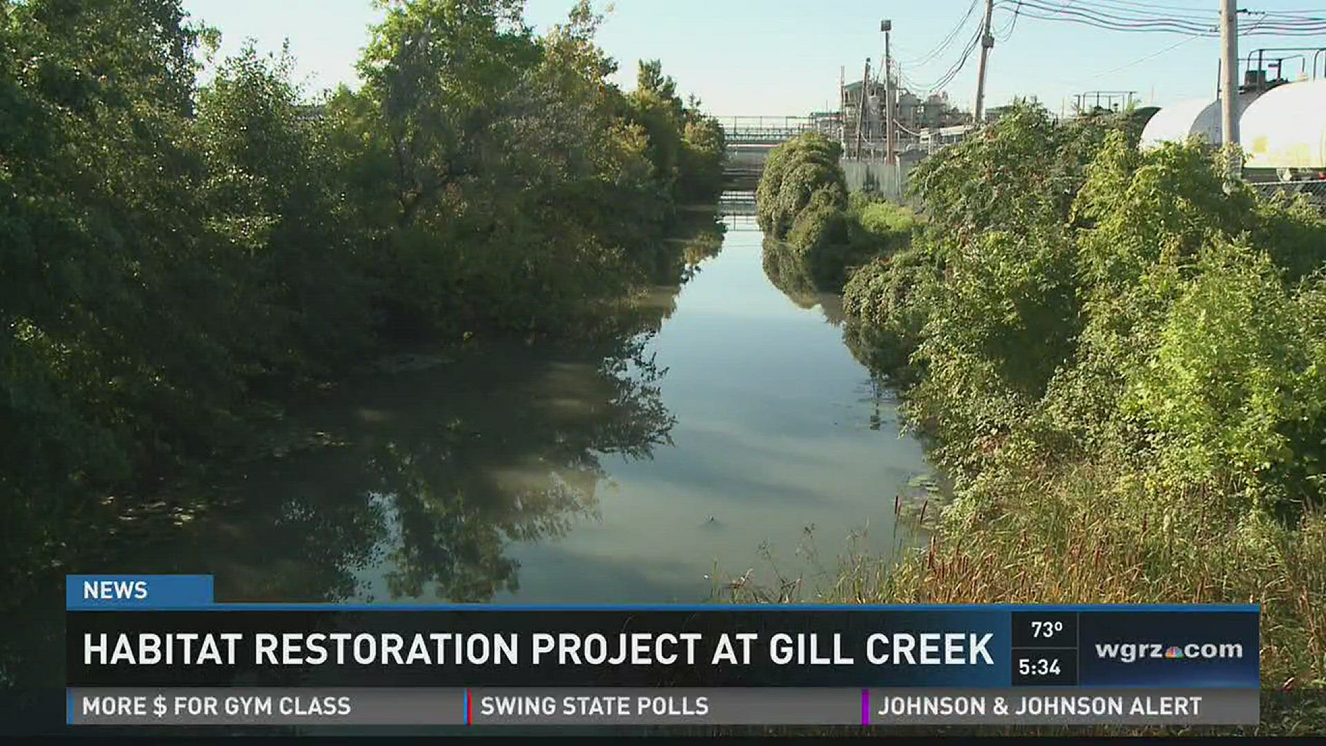 Habitat Restoration Project At Gill Creek