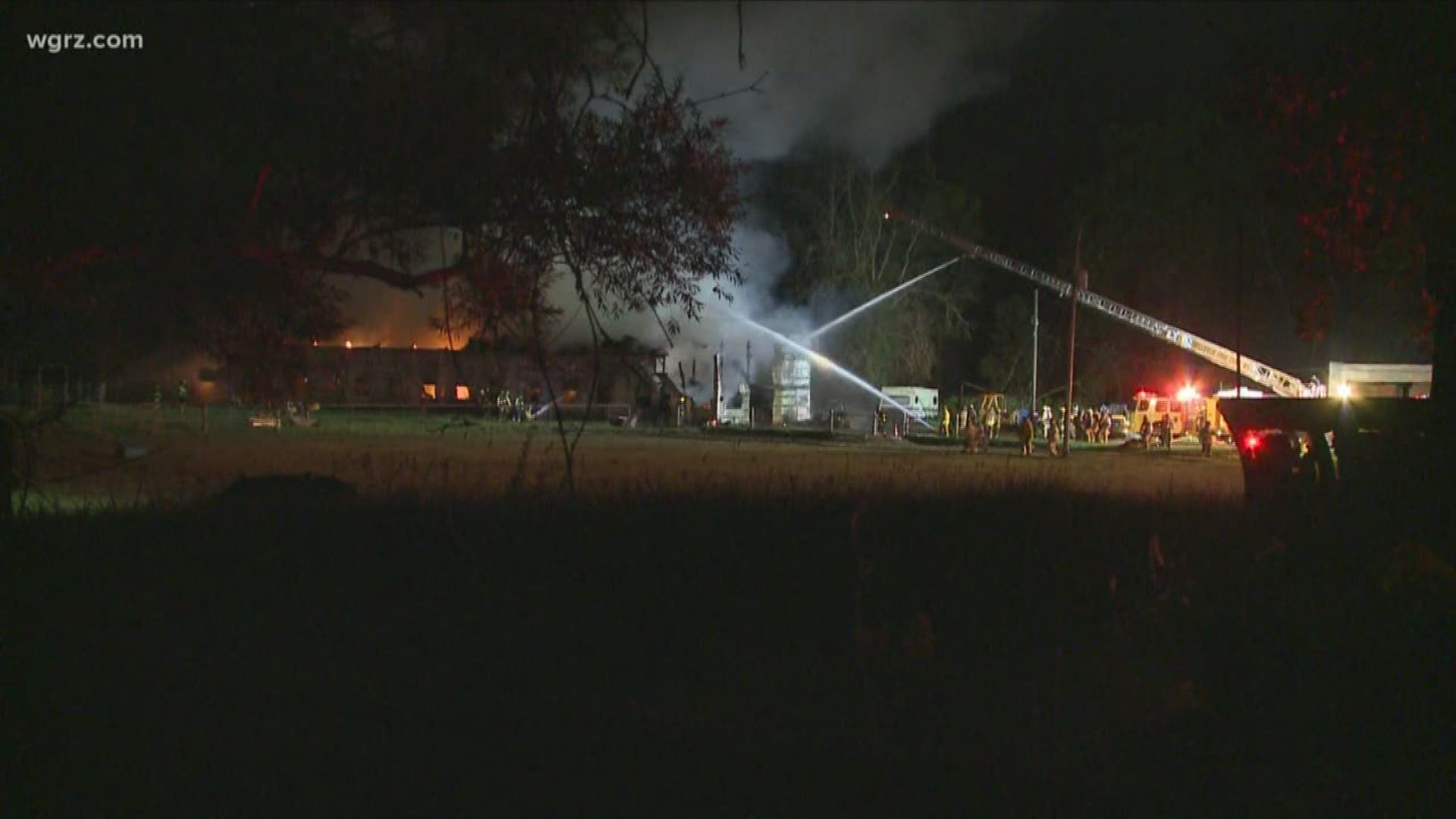 Over a dozen animals died after a massive barn fire in the village of Depew last night.