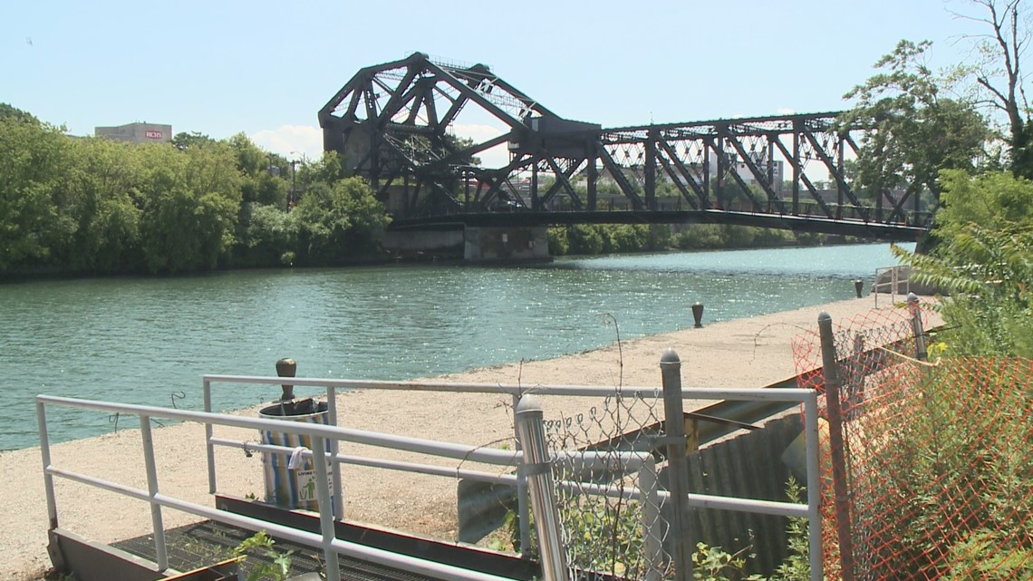 Buffalo waterways might be a tempting cooling option, but dangers lurk - Vimarsana News