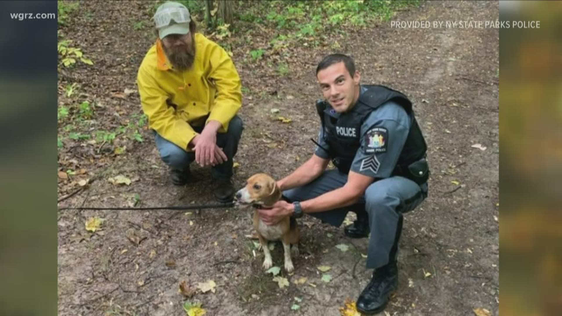 DOG RESCUED AFTER GETTING LOOSE IN LETCHWORTH