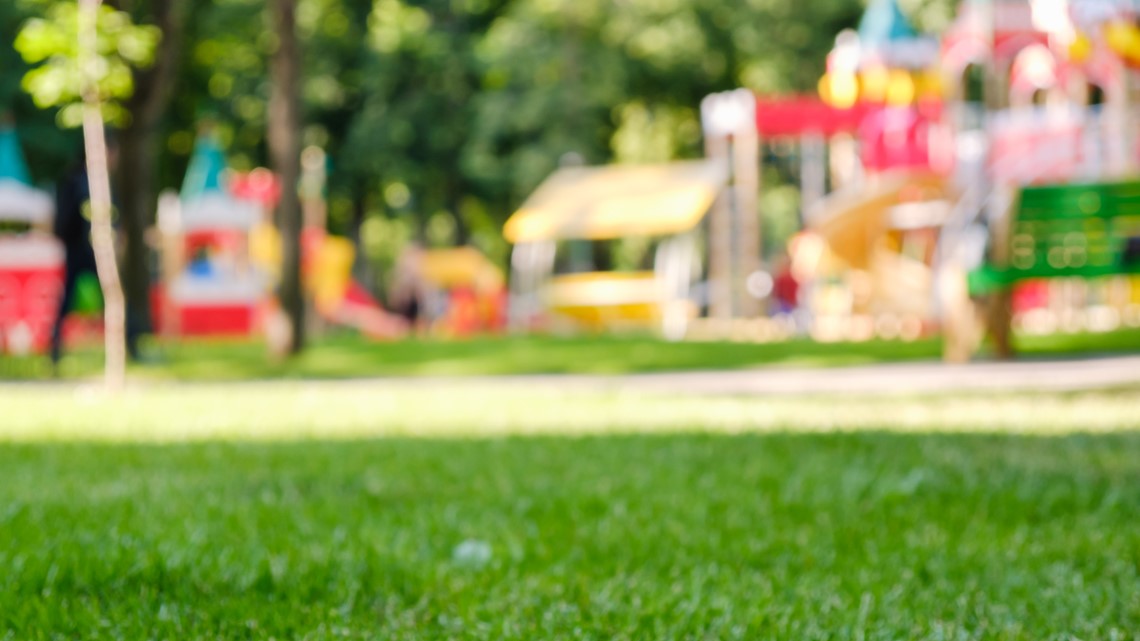 Funding for Amherst inclusive playground announced - Vimarsana News