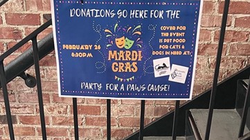 New York Beer Project annual Mardi Gras Bash helping dogs, cats in need