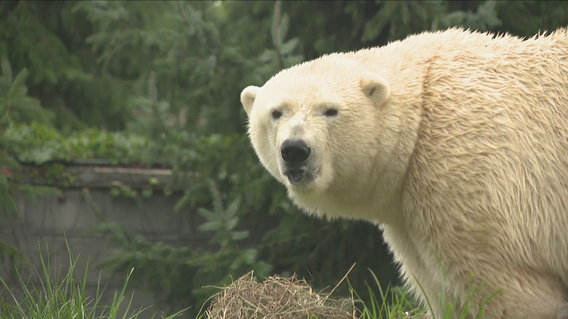 Officials at the zoo say the best thing you can do to support their animals is to bring your family in for a visit