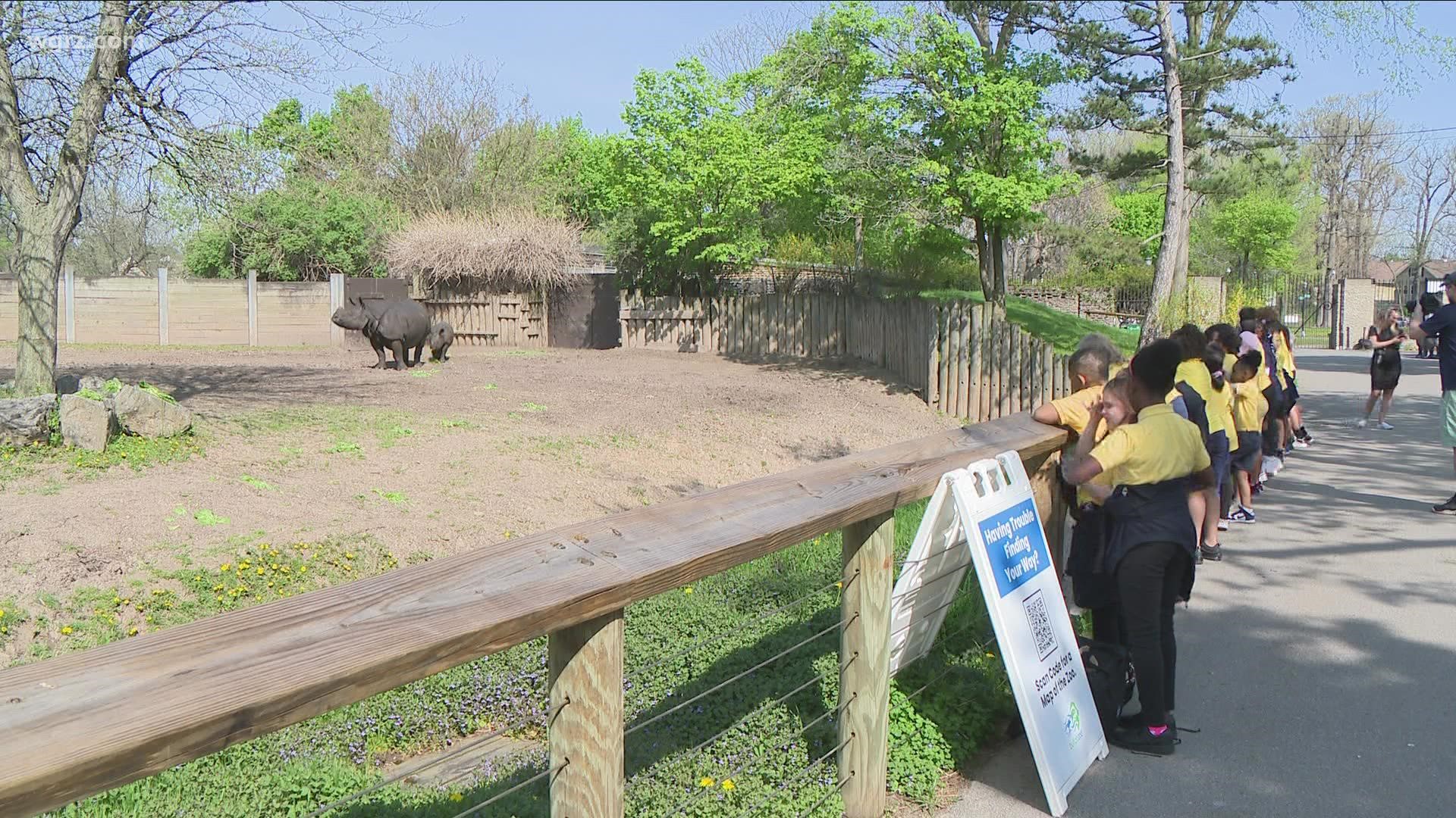 Field Trip To Buffalo Zoo Allows Students To Learn The Meaning Of farm 