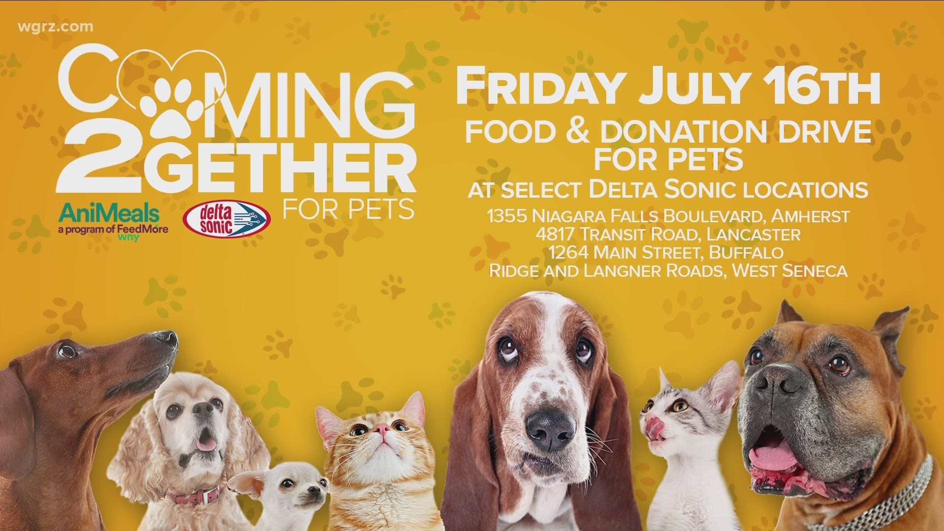 Pet food drive for the Food Bank of WNY