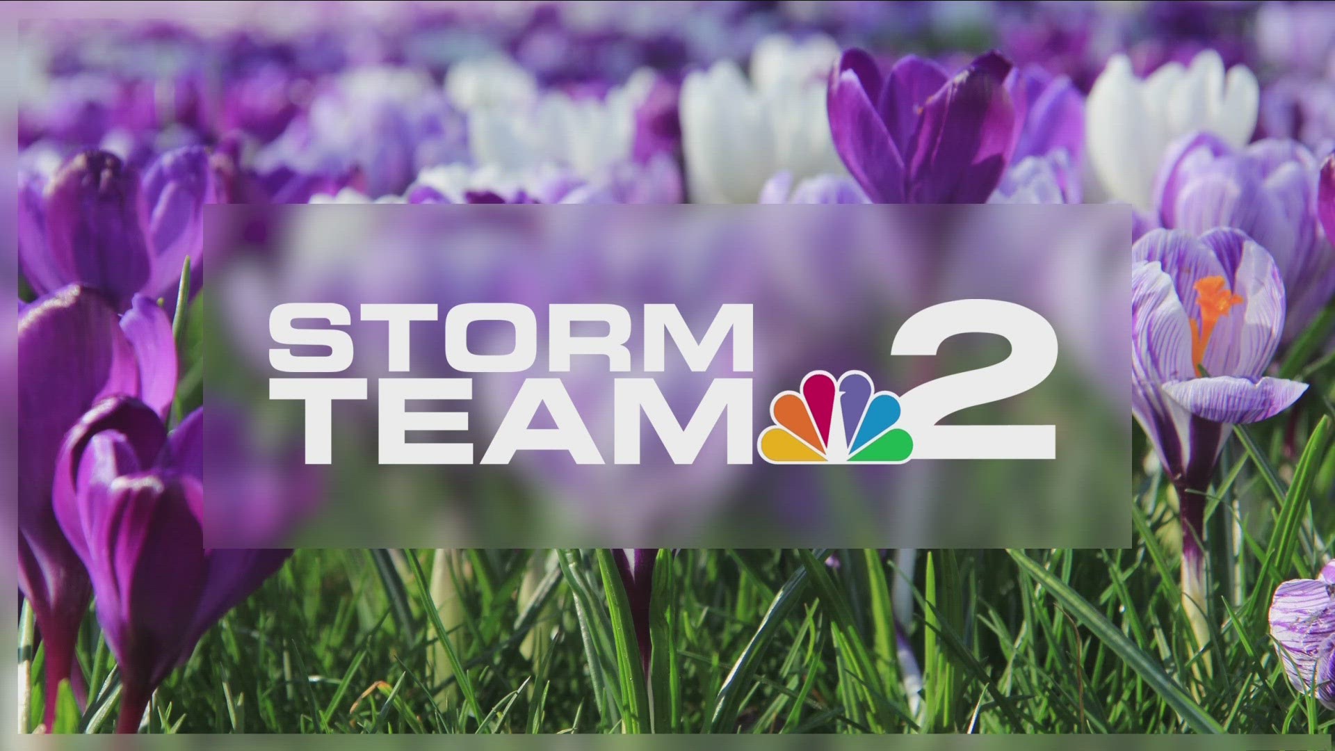 Daybreak Storm Team 2 Weather Forecast with Patrick Hammer 4/19/24