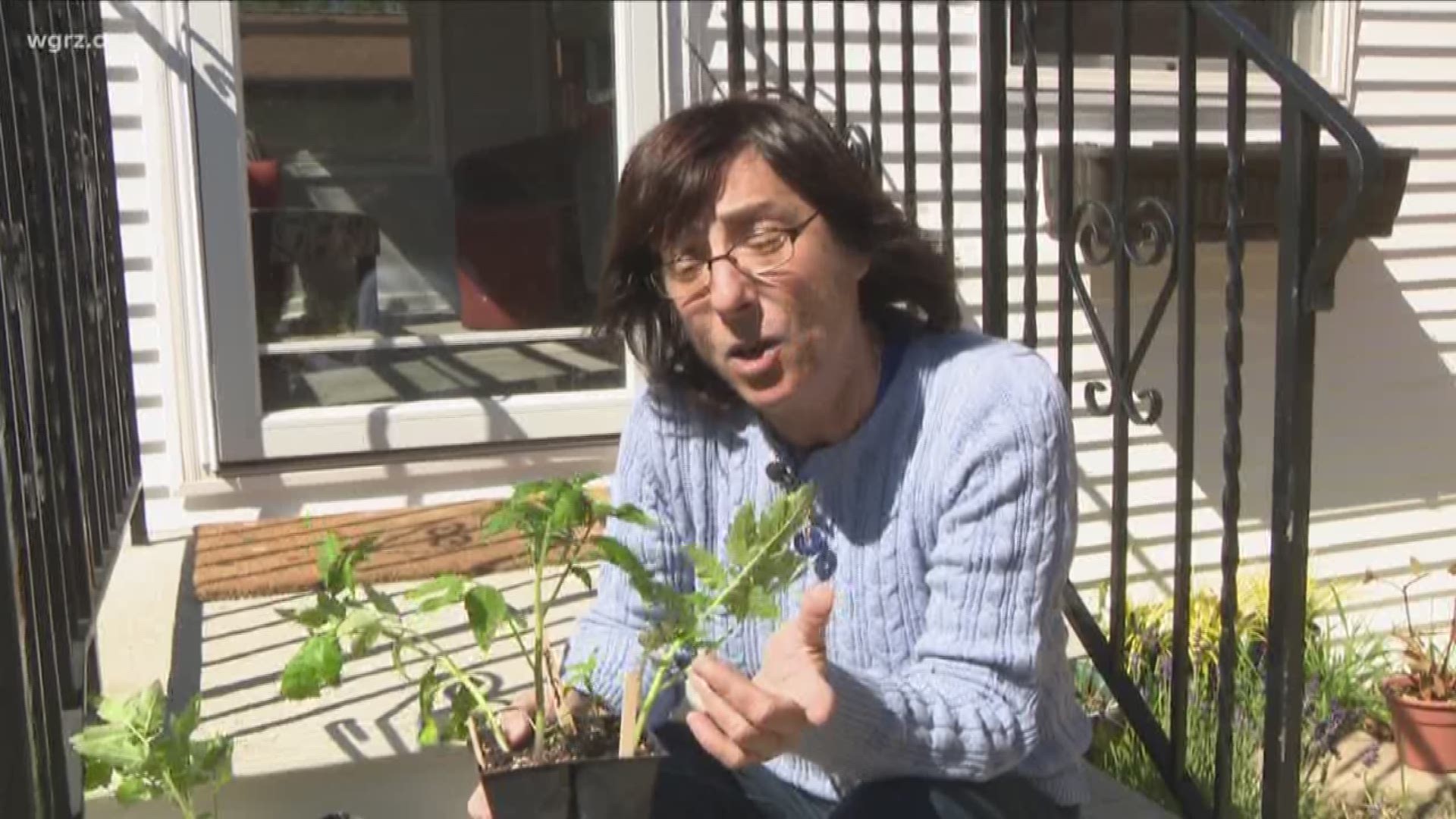 Gardening expert Jackie Albarella shares some tips to make sure your tomato plants thrive in your vegetable garden this season.