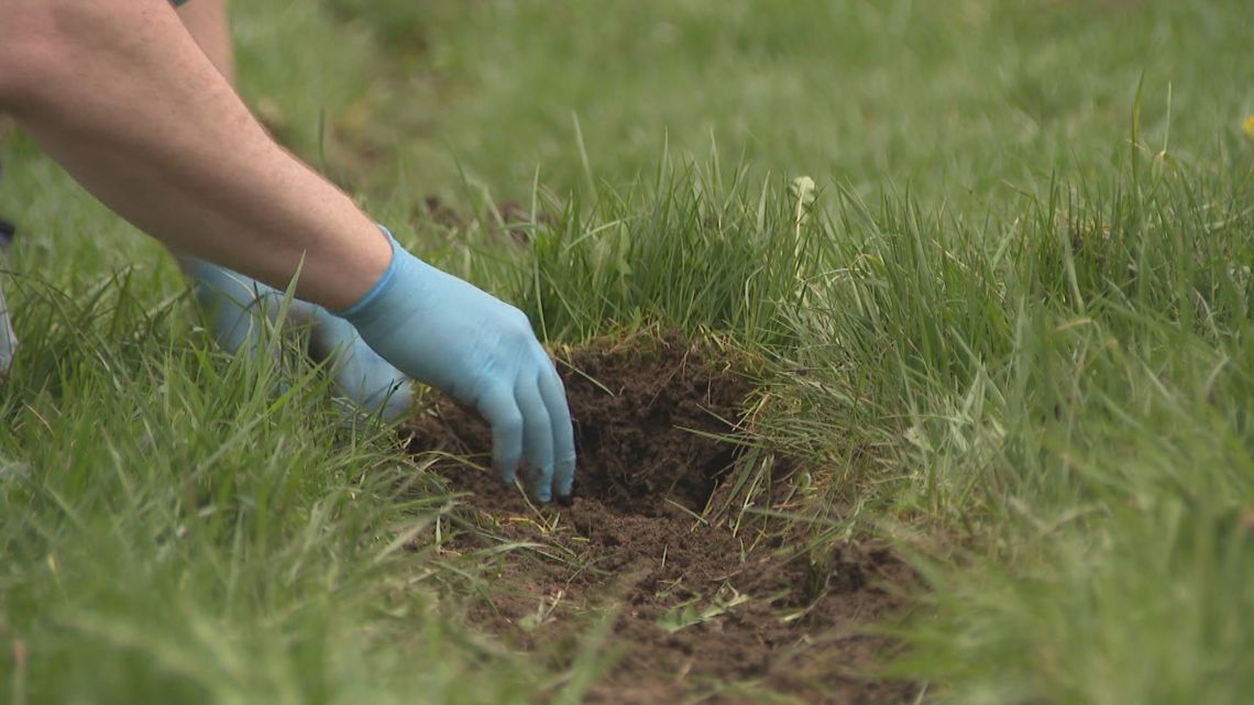 Volunteers kick off Earth Day early with cleanups in Buffalo and North Tonawanda