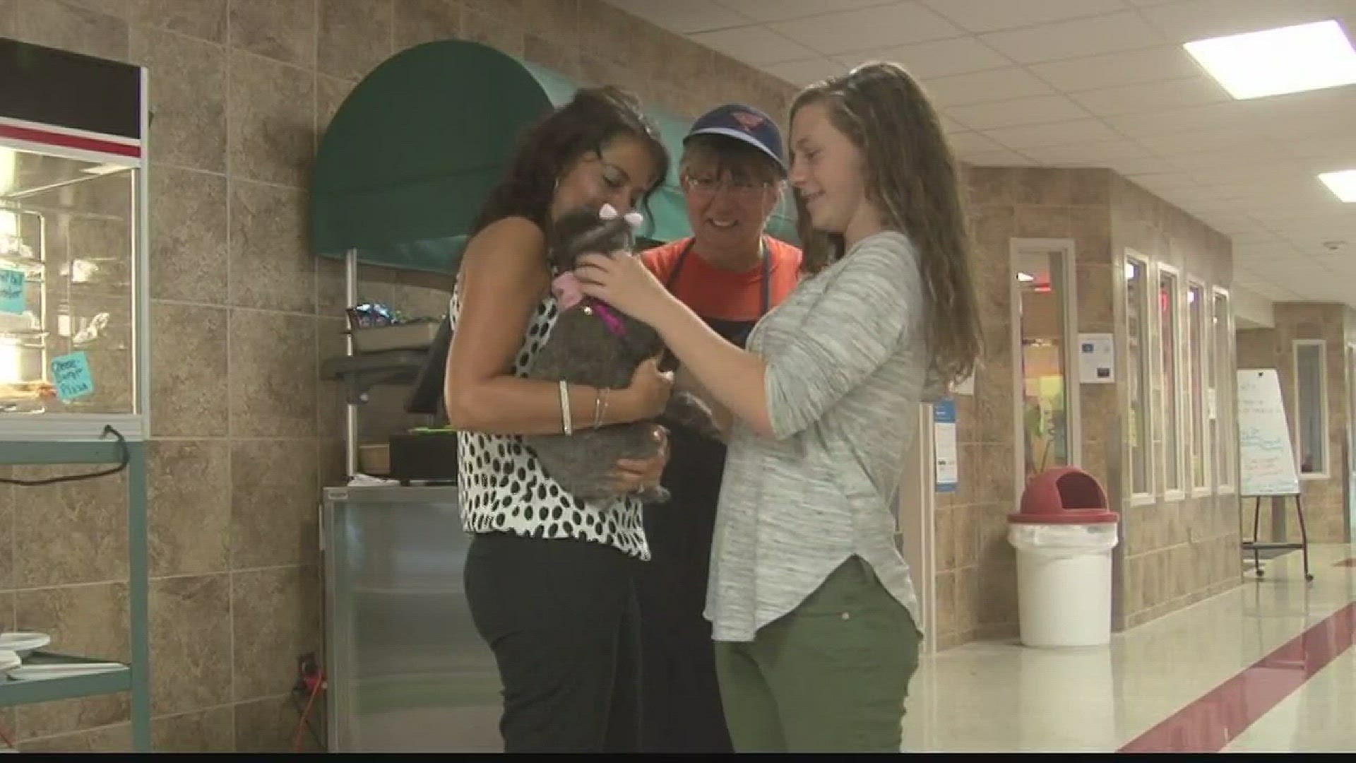 Dogs help comfort student and staff at Iroquois schools