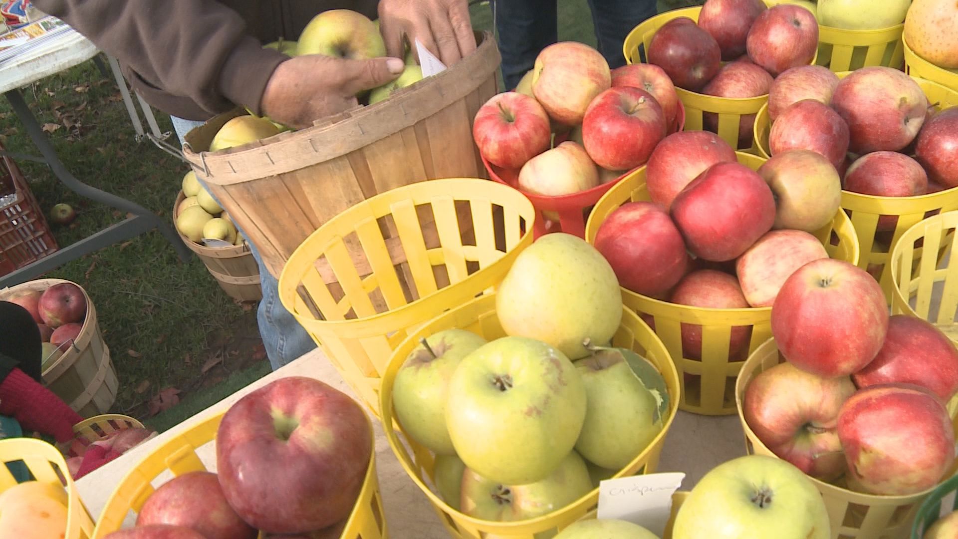 Some families to get additional WIC funds to use at farmer's markets ...