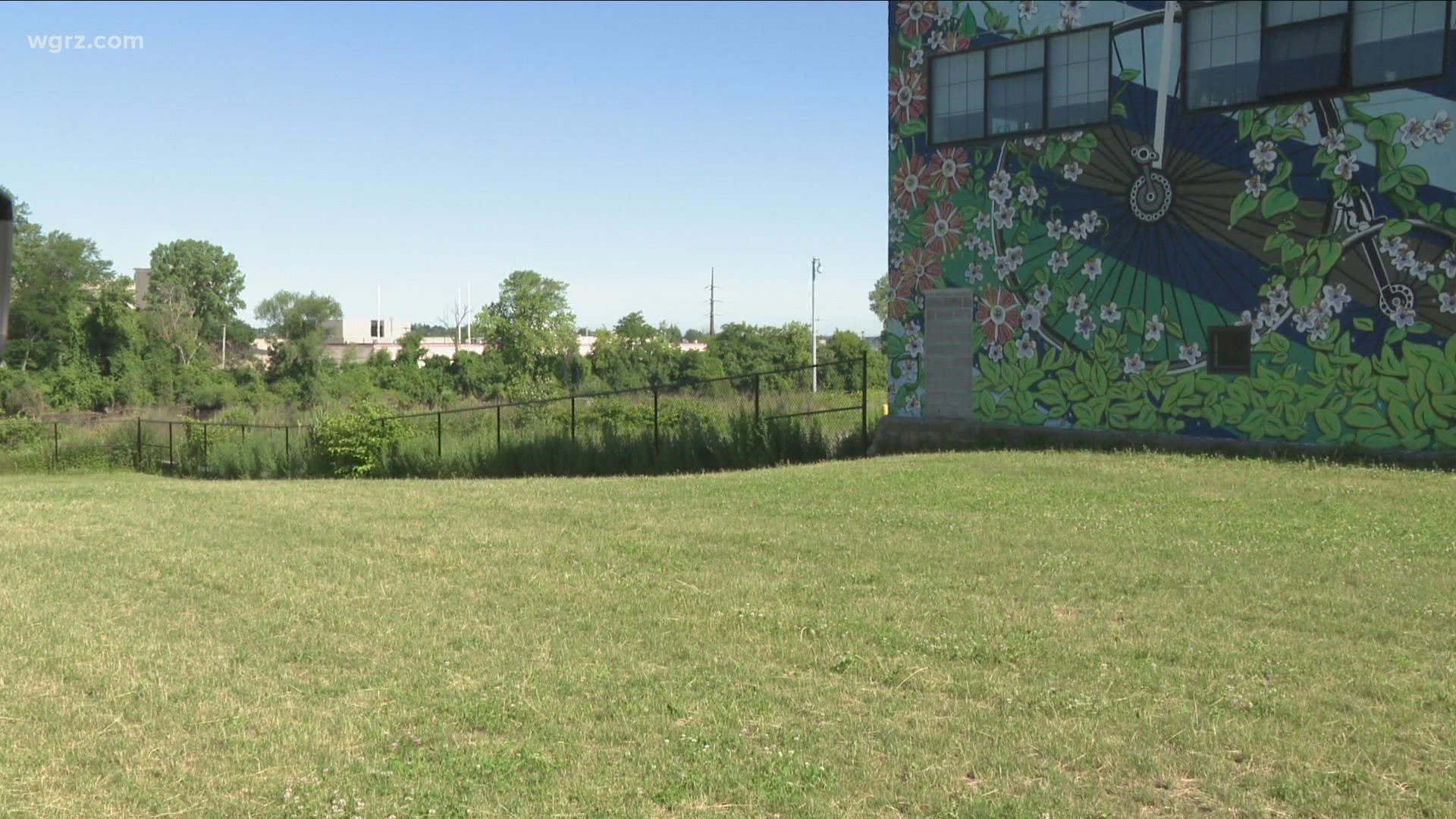 A new green space is coming to the corner of Niagara Street and Lafayette Avenue in Buffalo.