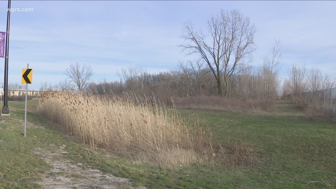 Group fighting proposed Town of Niagara asphalt plant says board rescinded approval - Vimarsana News