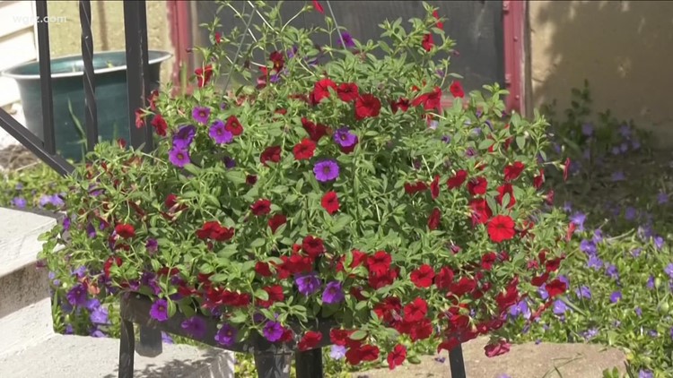 2 the Garden: Still too cold to plant summer flowers