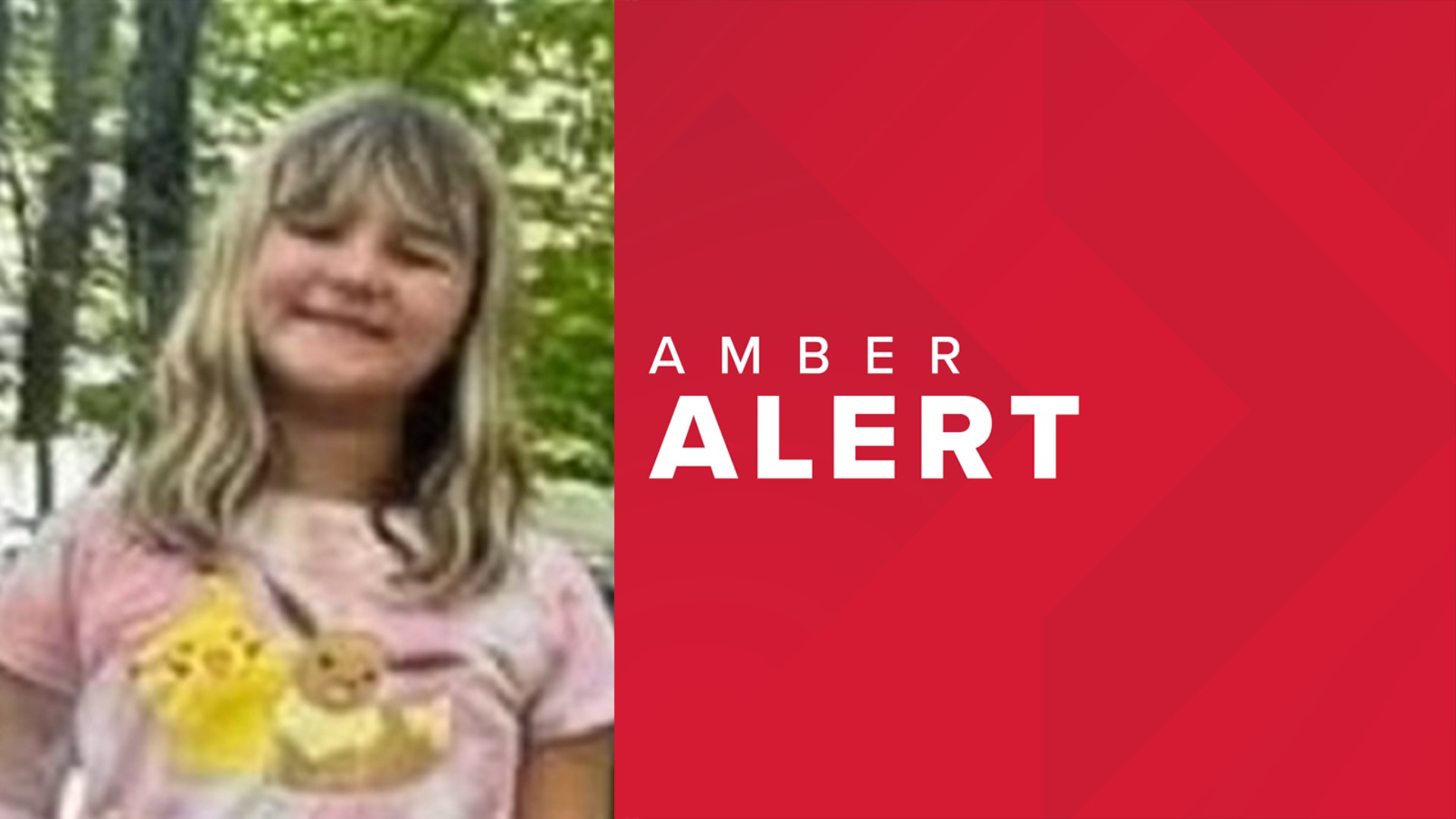 NYSP issue AMBER Alert after 9-year-old Charlotte Sena went missing at Moreau Lake State Park