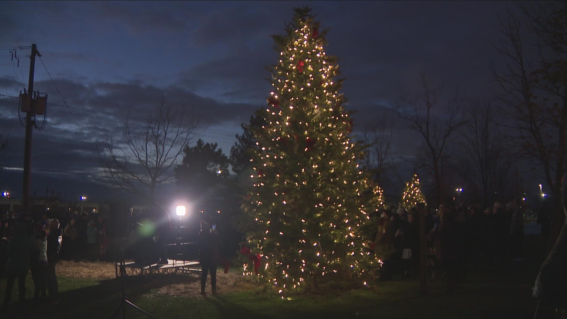 Community members gathered at 5 p.m. to light the Hospice and Palliative Care Buffalo tree with 2 On Your Side's Carl Lam.