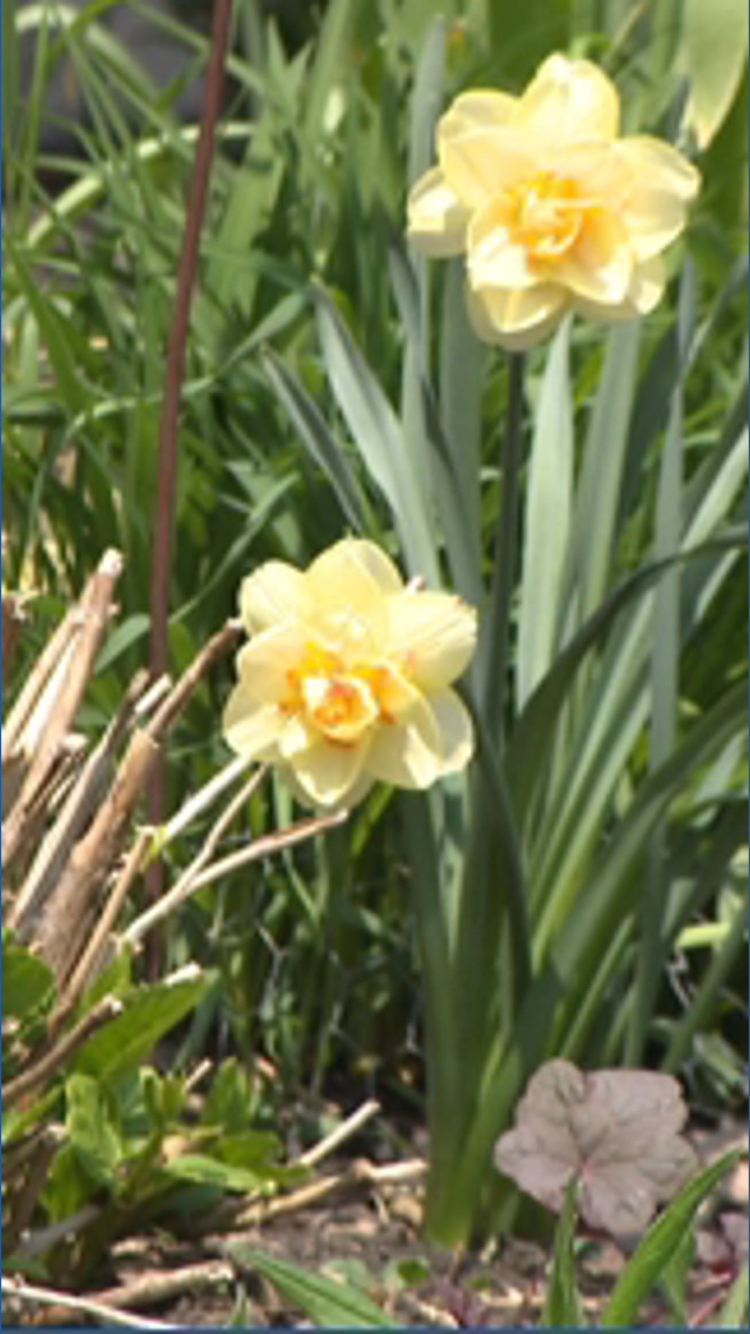 Cold Weather In Spring Tips for spring planting in cold temperatures | wgrz.com