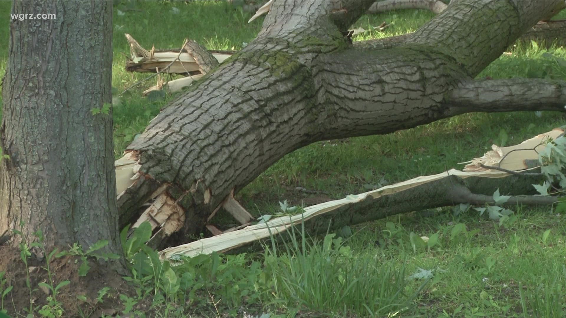 Niagara County was one of the areas hit hard by powerful storms. Leaving trees down, power outages and other damage, with crews continuing to clean up.