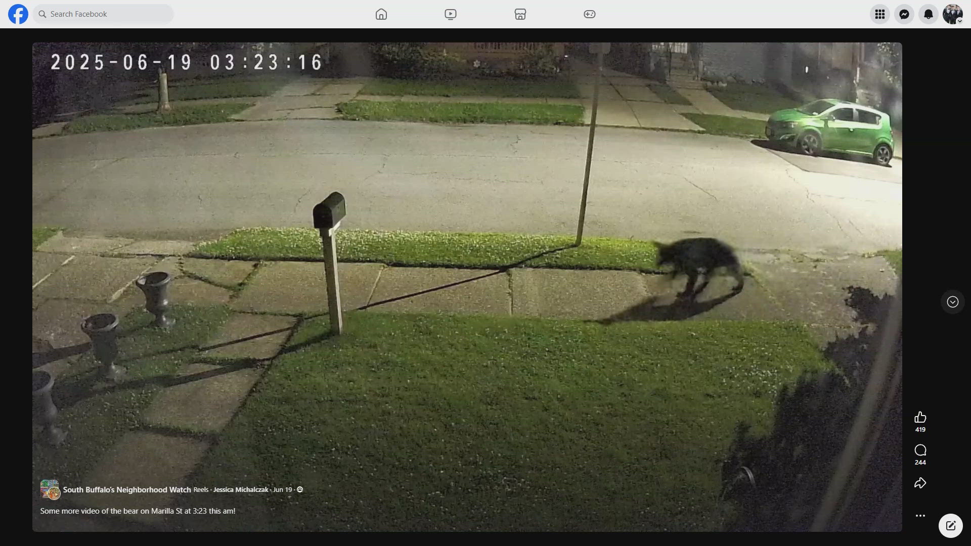 The bear was spied on security cameras strolling nonchalantly in front of a home on the 600 block of Marilla Street in the wee hours of Thursday morning