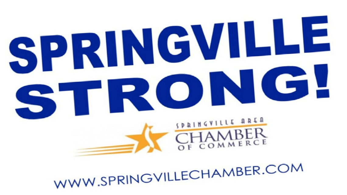 Springville Area Chamber of Commerce hosts free scavenger hunt