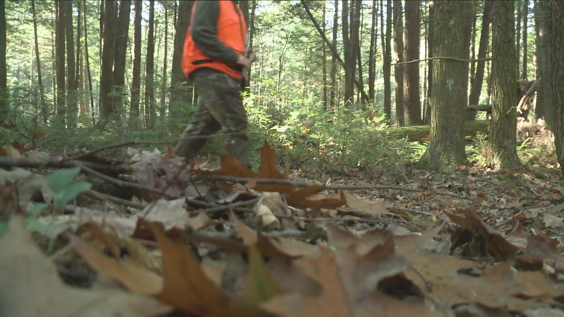 New rules for bear and deer hunting in NY