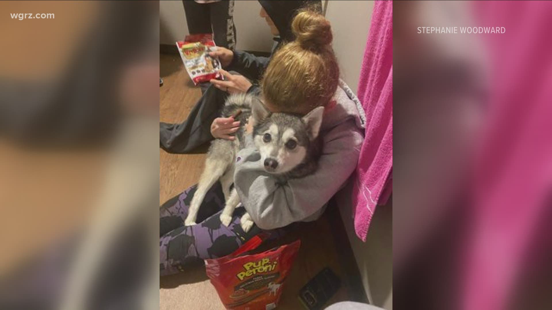 Rochester couple reunited with lost dog