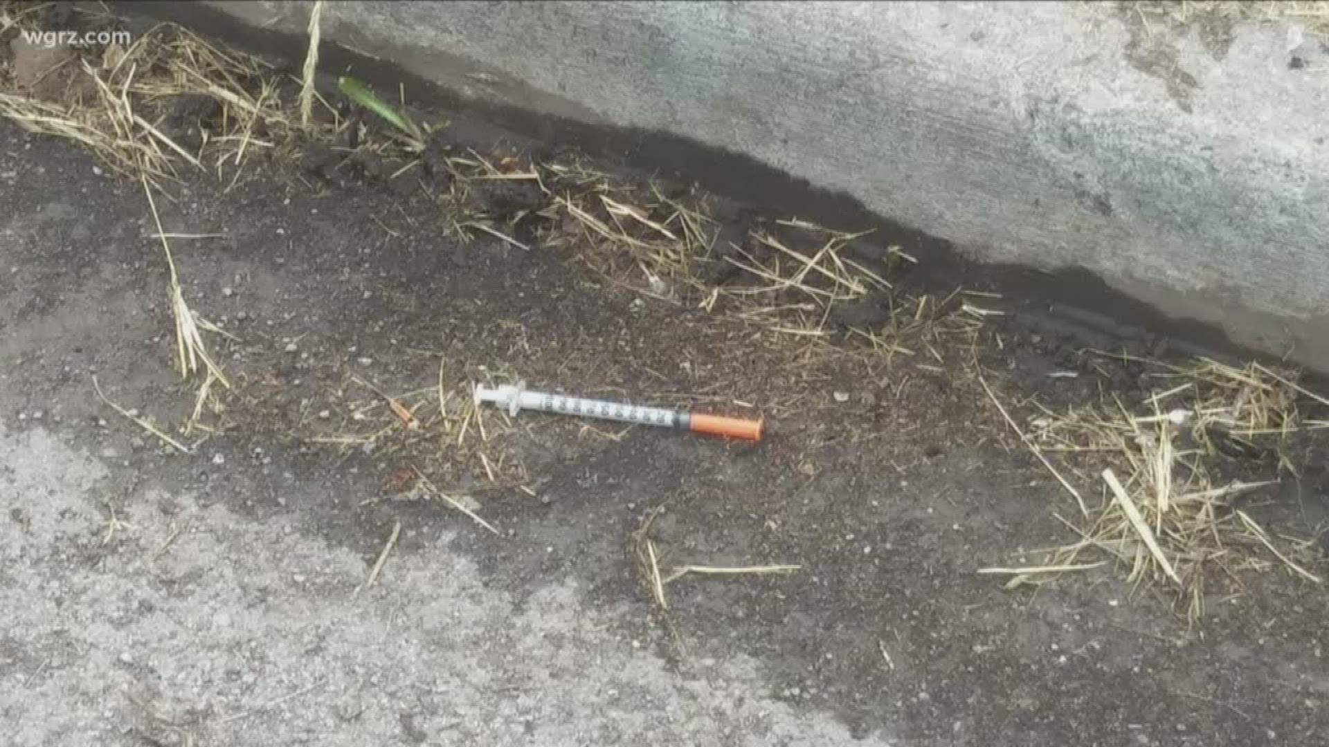 There is community concern over needles found at Lasalle Park