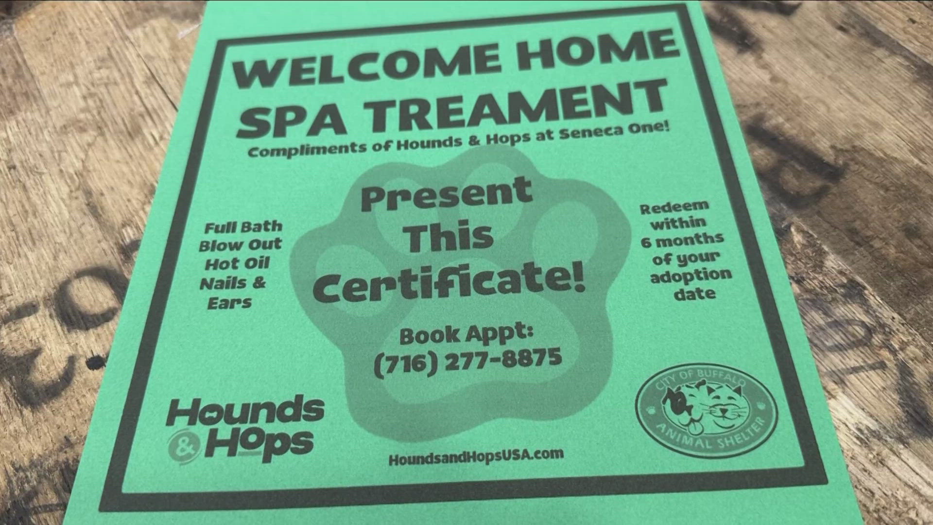 Most Buffalo: 'Adopted shelter dogs get free spa day'