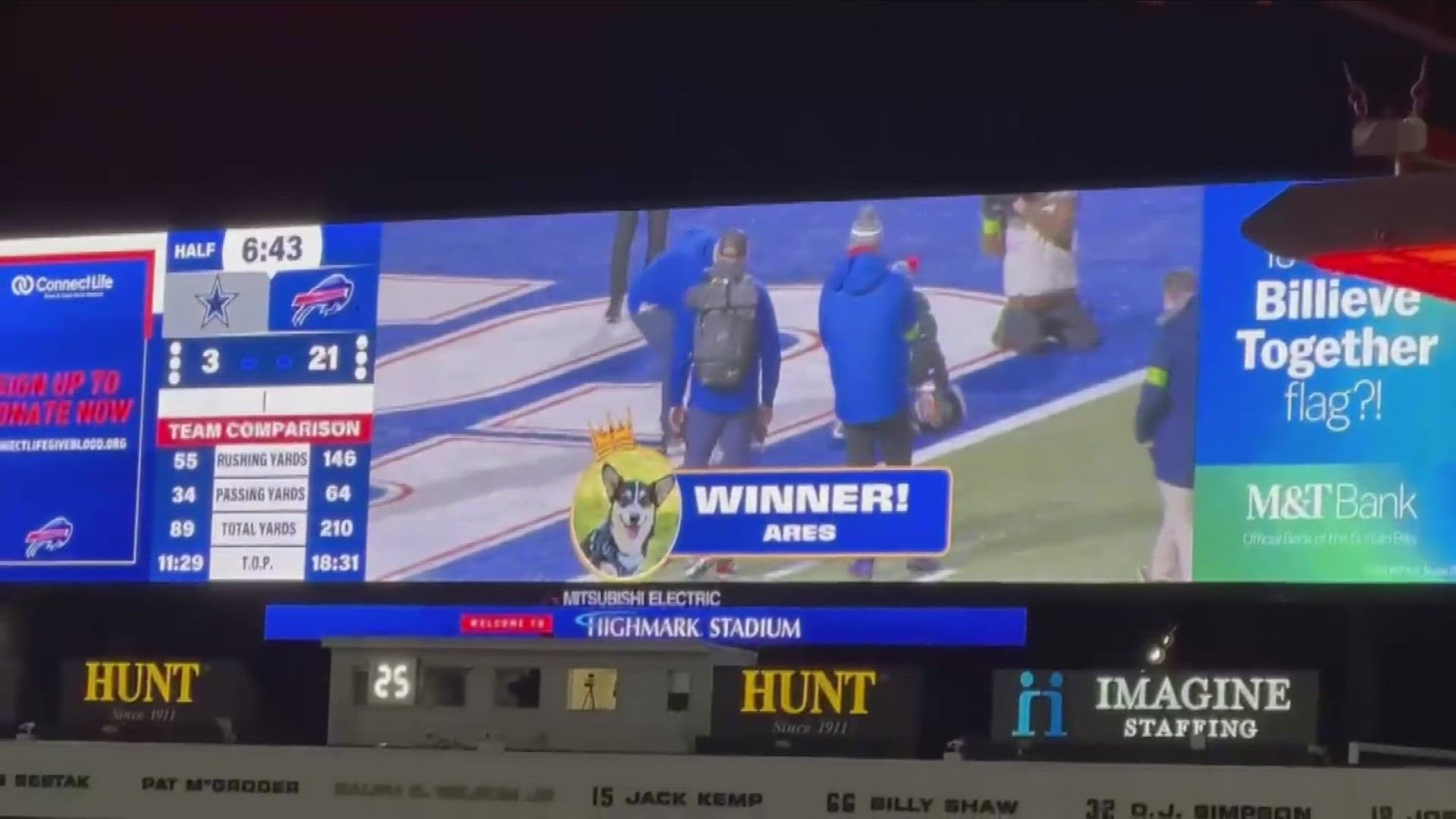 Top Dog Of The Corgi Race Ares Wgrz top-dog-of-the-corgi-race-ares-wgrz