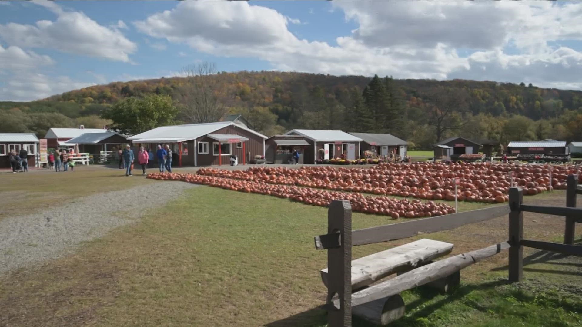 Pumpkinville open for fall season
