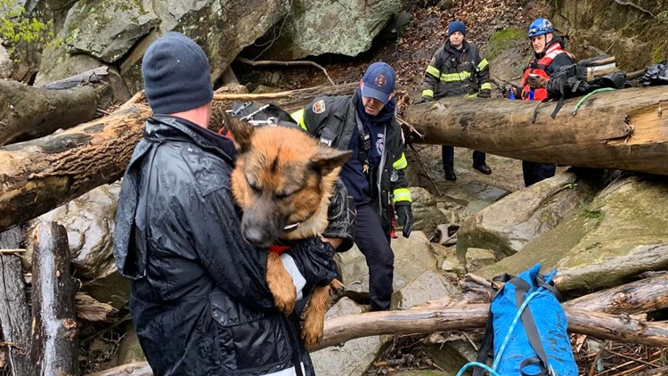 Dog reunited with family after rescue from river