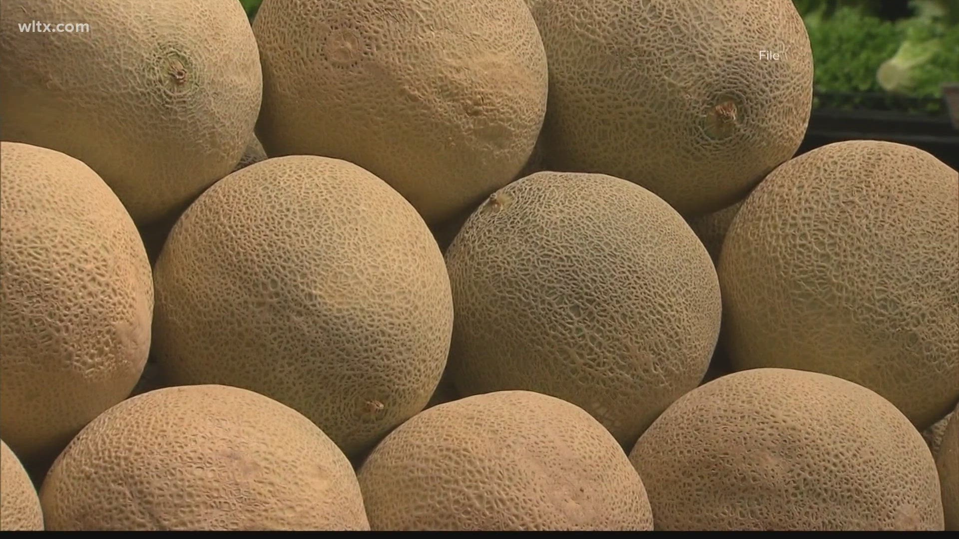 Tainted Cantaloupe CDC investigates after people sickene