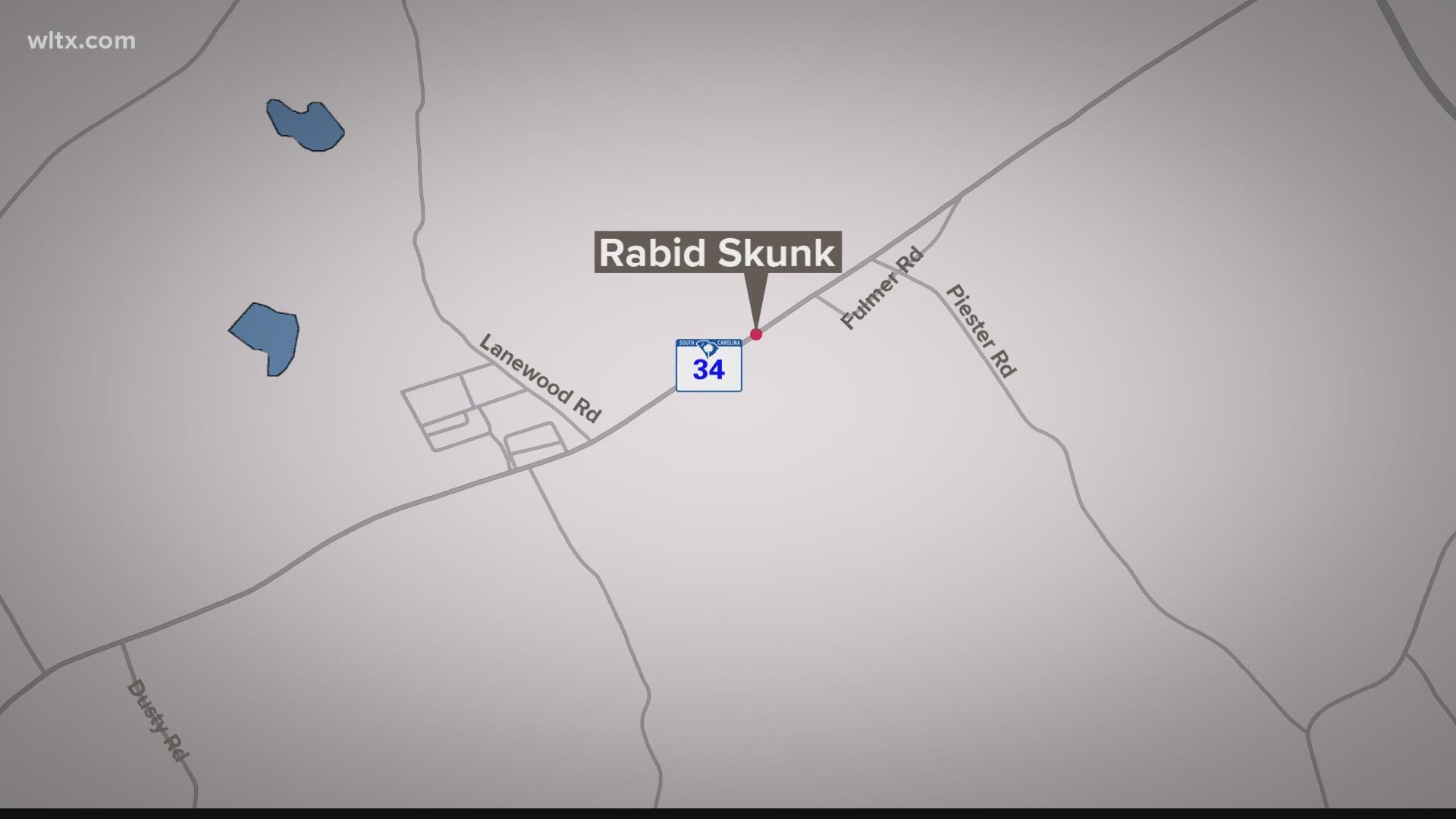 Skunk in Newberry tests positive for rabies, exposed two ...