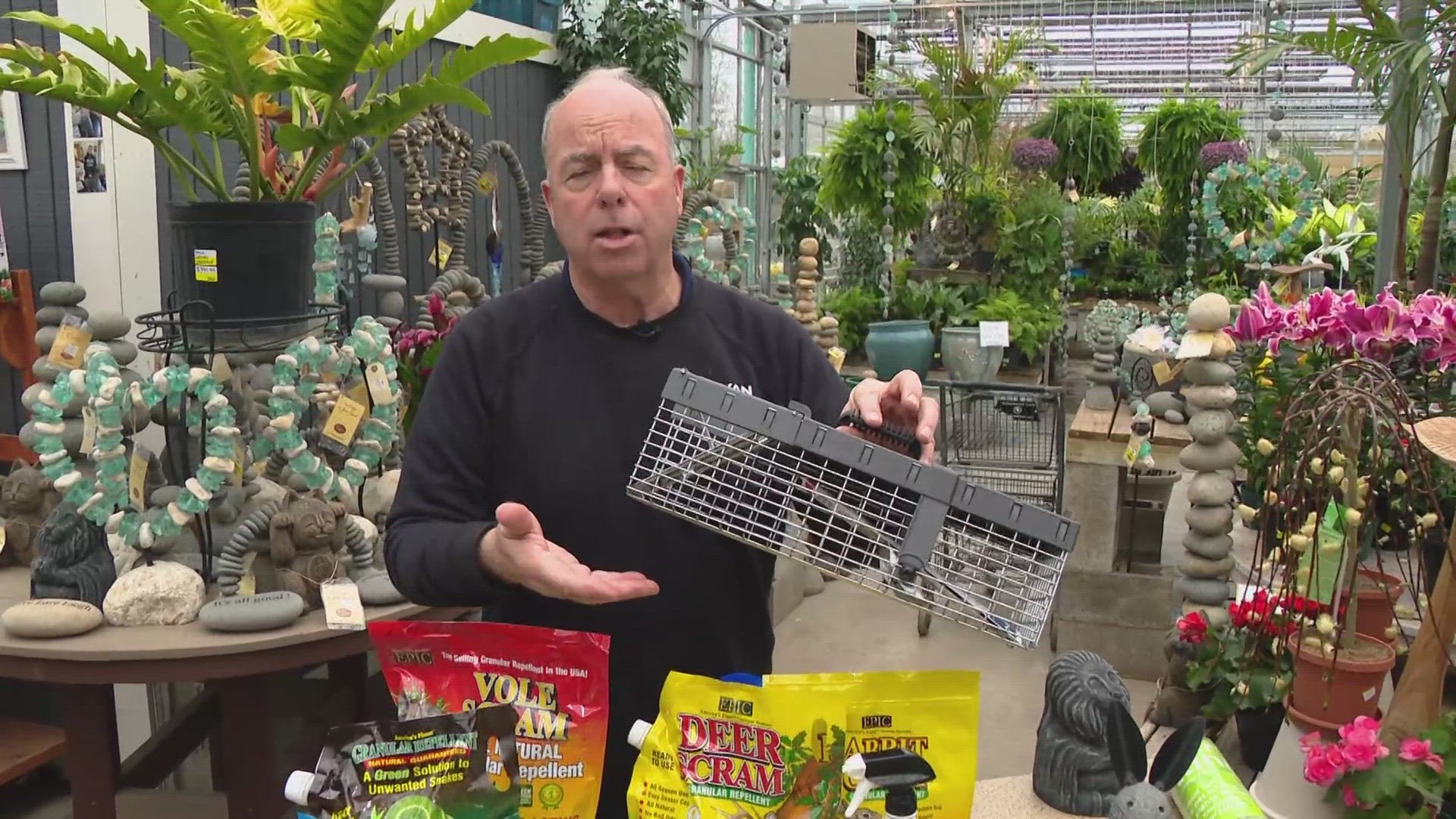 Every Sunday, Pat Sullivan stops by WTHR with some advice for your garden and lawn.