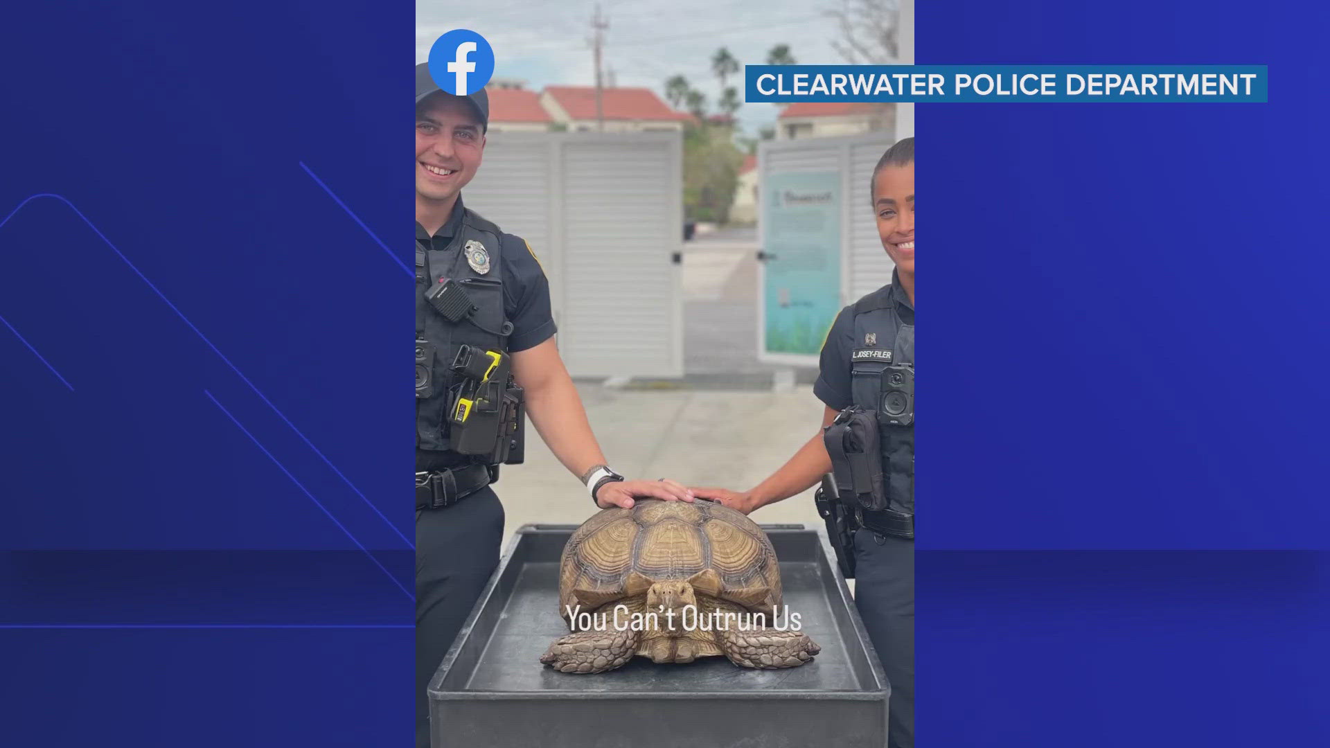 The tortoise, named "Shelby," reportedly tried to go on the lam "at a very slow rate of speed" before officers caught up.