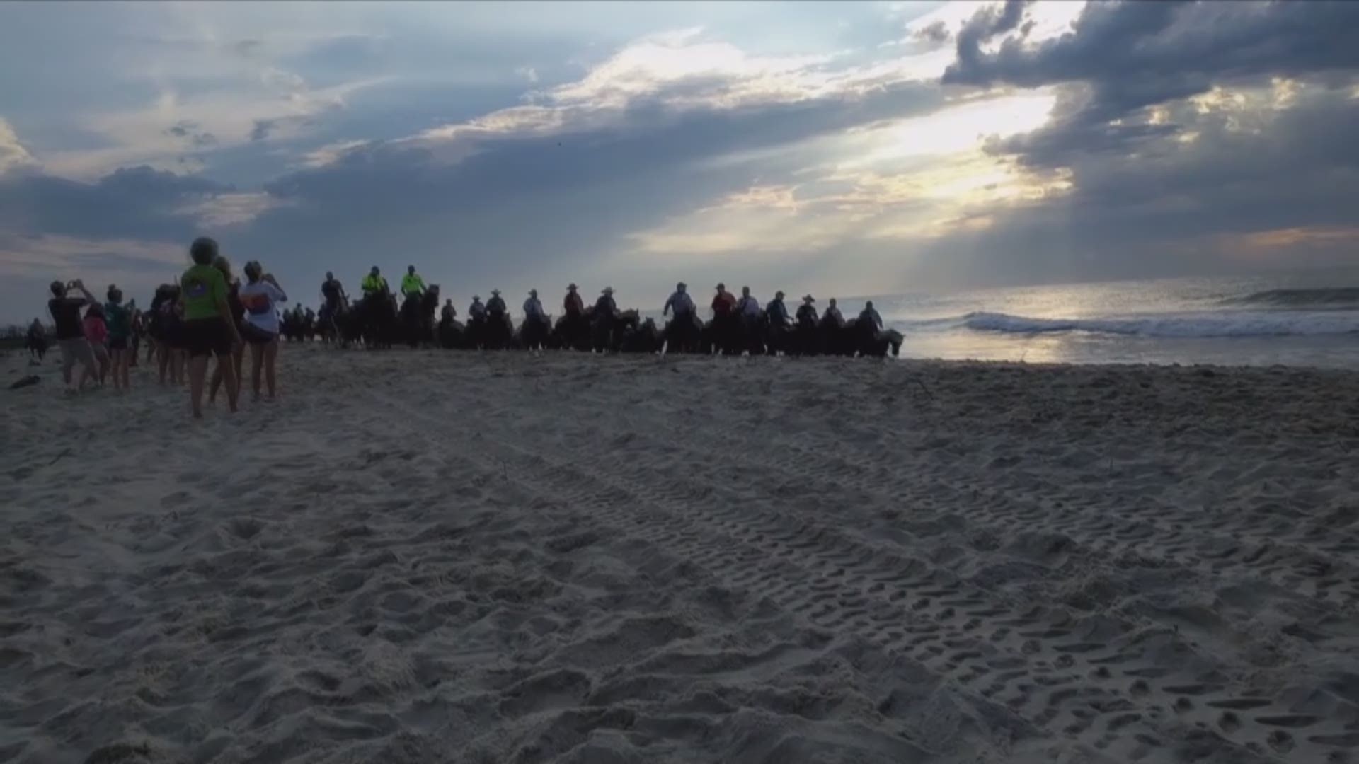 Saltwater Cowboys lead a herd of ponies from the Northern Corral to the Southern Corral along the beach at Chincoteague National Wildlife Refuge on Monday, July 24, 2017. Video by Bobby Rangel, 13News Now