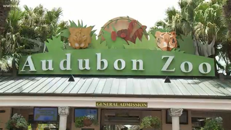 UPDATE: Third fox dies after Audubon Zoo jaguar escape